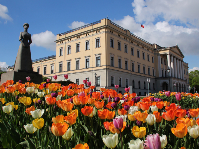 Hvert år plantes det vårblomster rundt statuen av Dronning Maud. I 2018 ble det satt ned 7 000 tulipanløk. Foto: Liv Osmundsen, Det kongelige hoff
